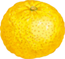 ゆず